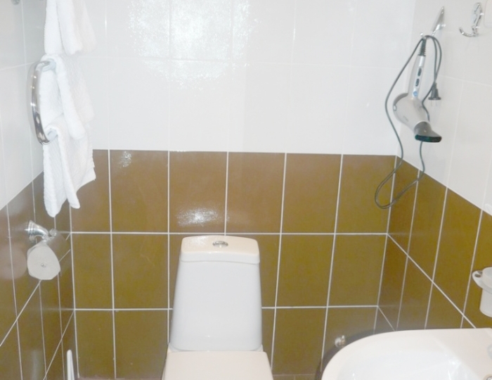 1 категория 1-местный 1-комнатный корпус 6 - Санаторий «Металлург» Ессентуки